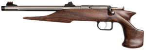 Davey Crickett Chipmunk Hunter Youth .22 LR Single Shot Pistol