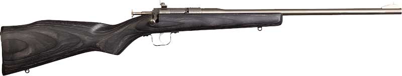 Chipmunk 22LR Youth Bolt Action Rifle - Stainless & Black