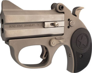 Bond Arms Stinger .22 LR Stainless Steel Derringer