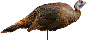 Montana Decoy Spring Fling Hen Decoy for Hunting