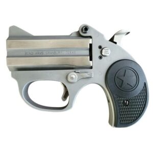 Bond Arms Stinger .38 Special Stainless Derringer