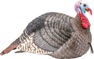 HS Strut Strut-Lite Jake Turkey Decoy