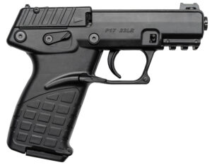 Kel-Tec P17 .22 LR Compact Semi-Auto Pistol