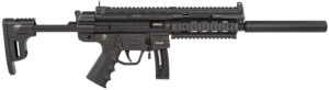 GSG-16 CA Compliant .22 LR Semi-Auto Rifle