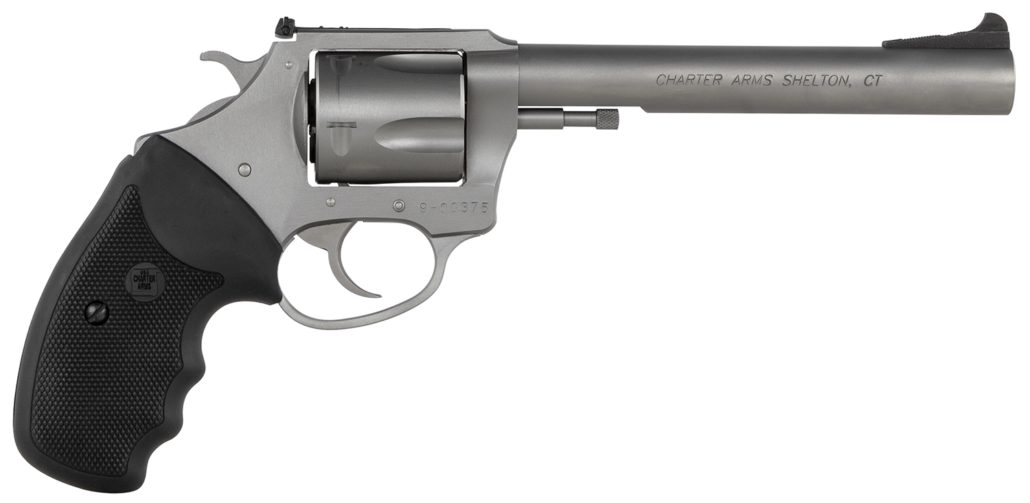 Charter Arms Bulldog Target .44 Special Revolver 6" Stainless