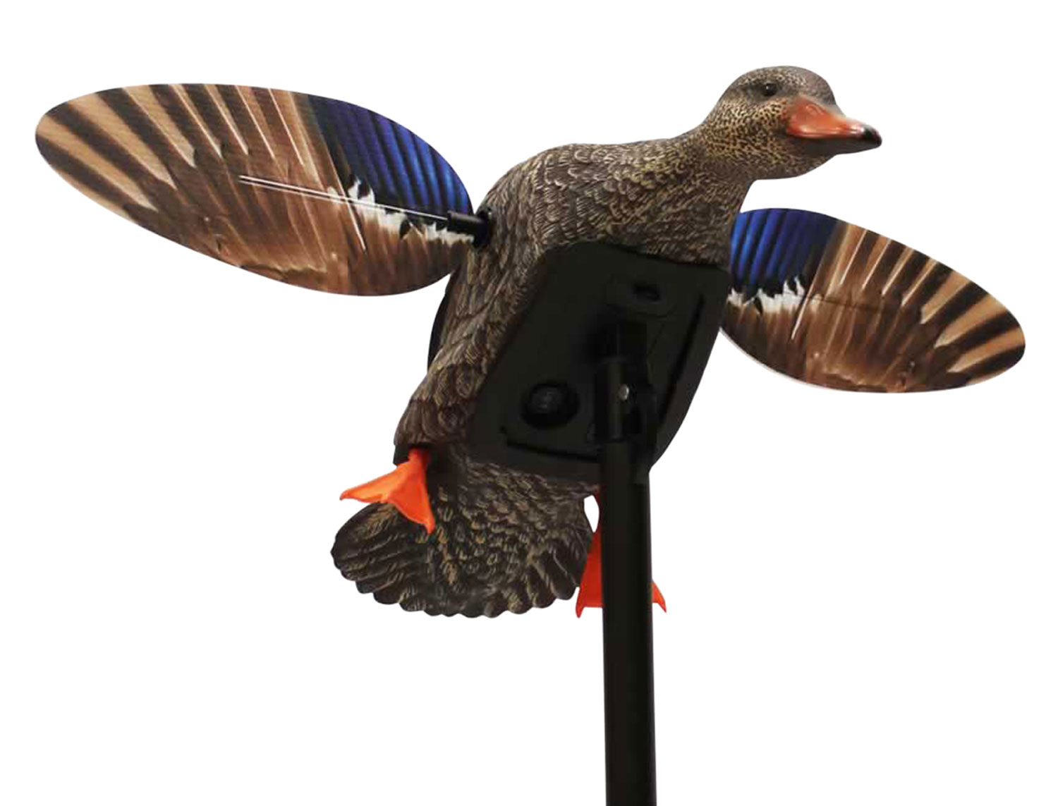Mojo Elite Series Mini Hen Mallard Decoy with Remote