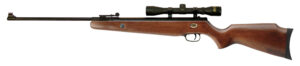 Beeman 1051 Teton Combo .177 Caliber Air Rifle