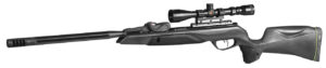 Gamo Swarm Maxxim G2 .22 Air Rifle with Scope