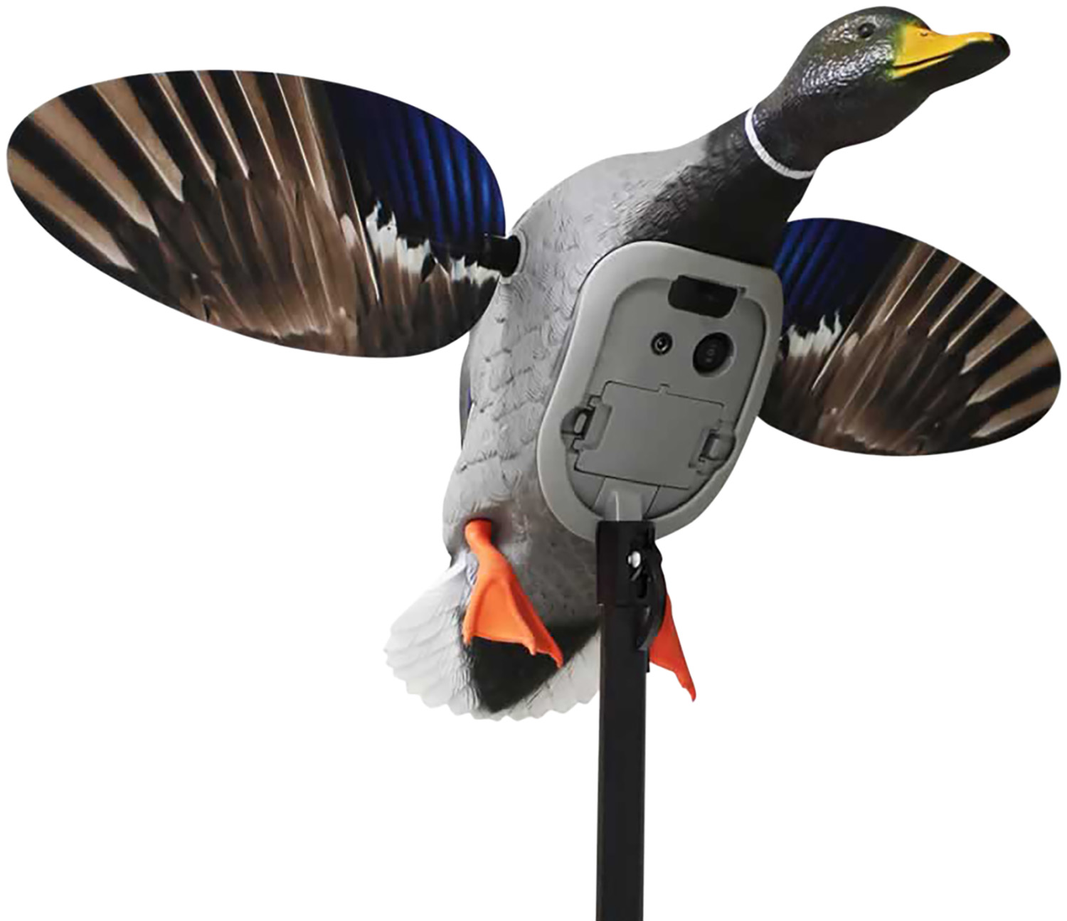 Mojo Elite Series King Mallard Decoy