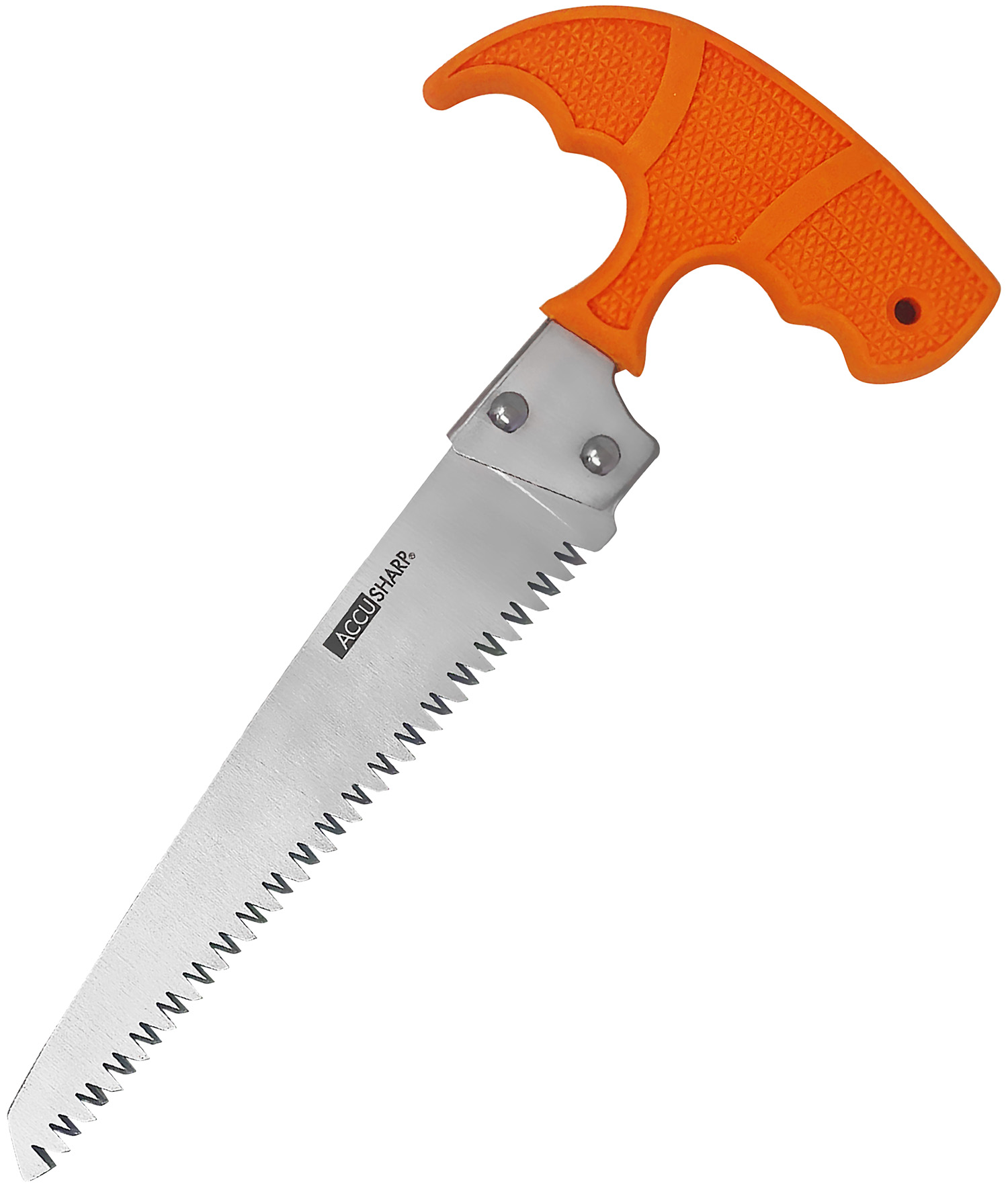 AccuSharp 730C Bone Saw with 6" Stainless Steel Blade