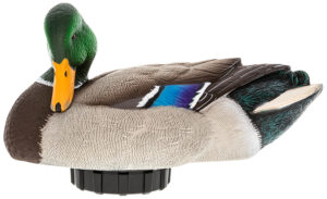 Avian X AVXPSHMDPR Power Shaker  Mallard Drake Preener Duck Decoy