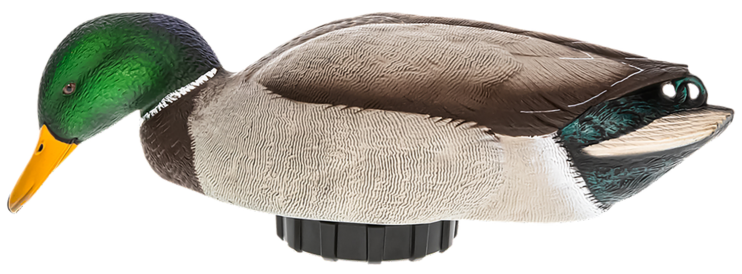 Avian X Power Shaker Mallard Drake Decoy