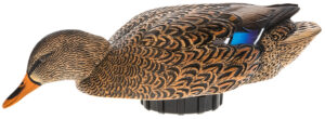 Avian X Mallard Hen Surface Feeder Decoy