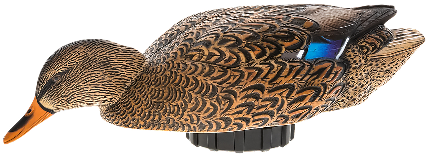 Avian X Mallard Hen Surface Feeder Decoy
