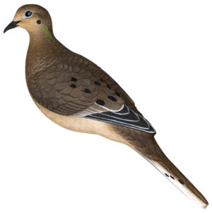 Avian X AVX-DOVE-6PK  Full Body Dove Multi-Color 6 Pack