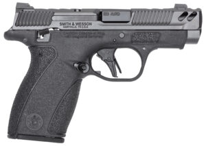 Smith & Wesson Bodyguard 2.0 .380 ACP Pistol