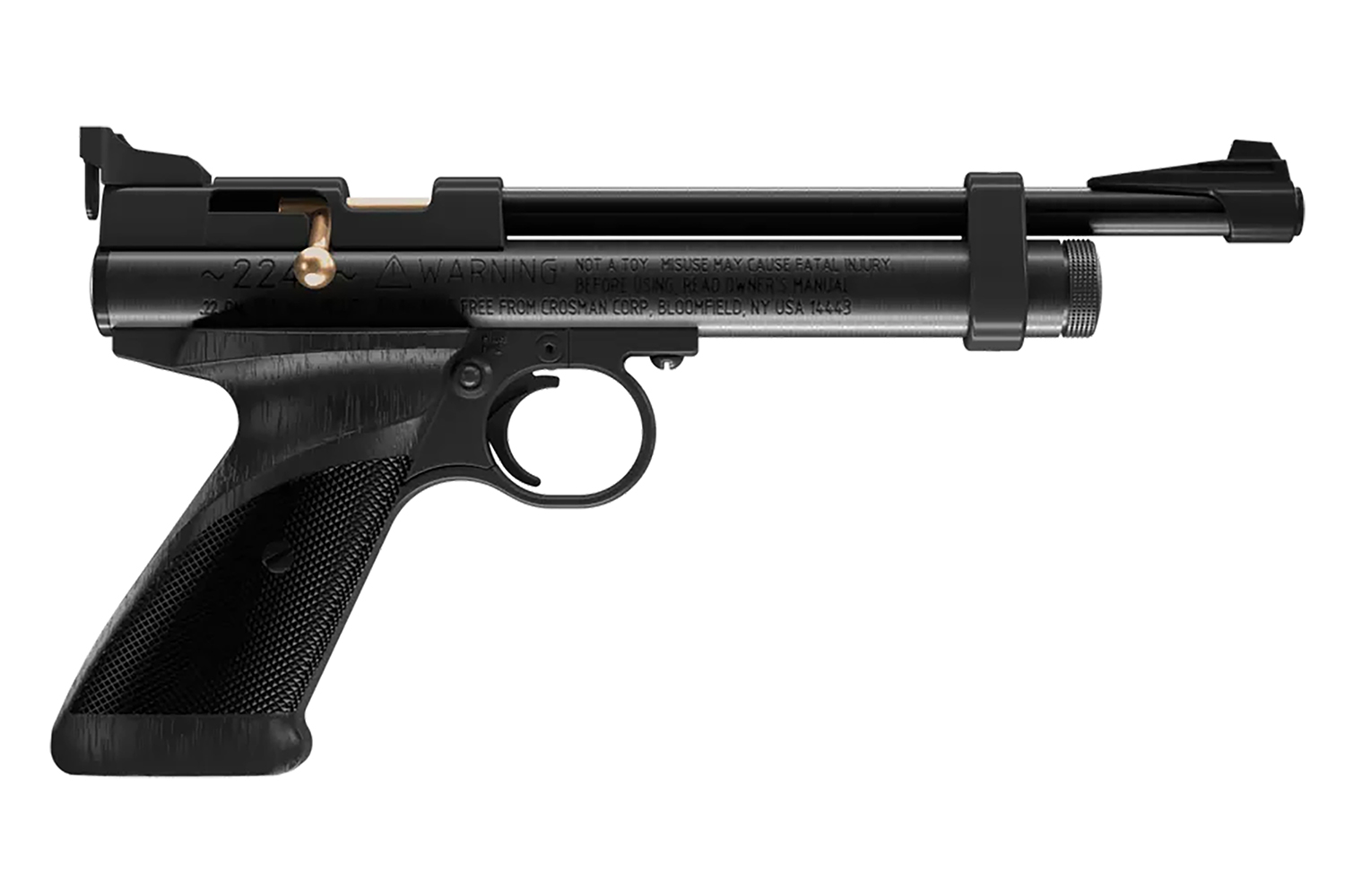 Daisy 2240 2240 Black Polymer CO2 22 Cal, Single Shot Bolt Action