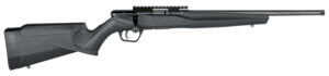 Savage Arms B17 FV-SR .17 HMR Bolt Action Rifle