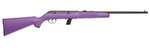 Savage Arms Model 64 F .22 LR Semi-Auto Rifle