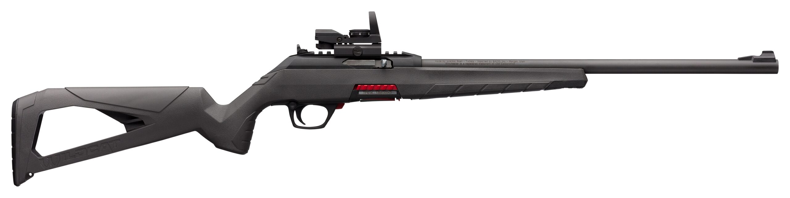 Winchester Wildcat .22LR Semi-Auto Rifle with Reflex Sight