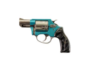 Charter Arms Blue Diamond .38 Special Revolver