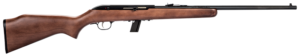 Savage Arms Model 64 Semi-Auto .22LR Rifle