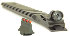 Williams Ace in the Hole Scope Base Set for Ruger 10/22