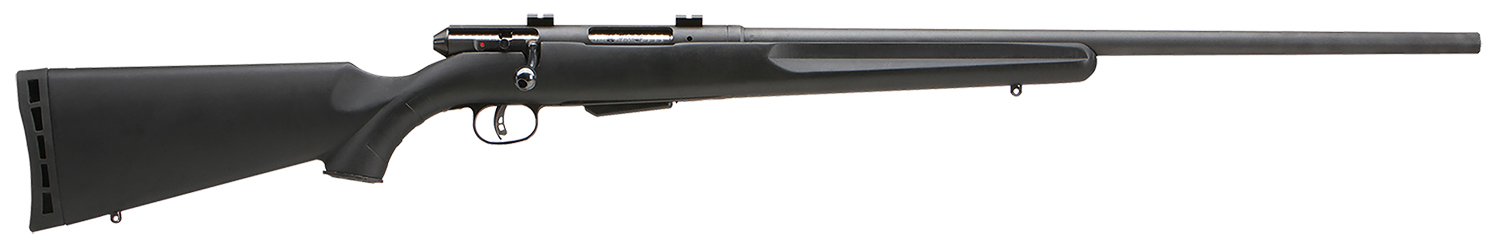Savage Arms Model 25 Walking Varminter .222 Remington Rifle