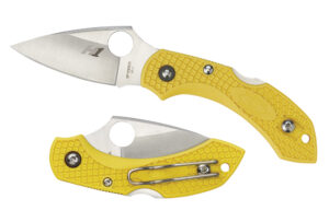 Spyderco Dragonfly 2 Salt Serrated Folding Knife
