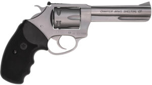 Charter Arms Pathfinder .22 LR Stainless Revolver - 4.2"