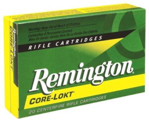 REMINGTON 300 WIN MAG 180GR - CORE-LOKT PSP 20RD 10BX/CS