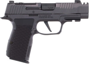 Sig Sauer P365 AXG .380 ACP Pistol with Night Sights