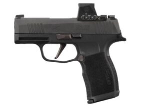 Sig Sauer P365 9mm Semi-Auto Handgun with Night Sights