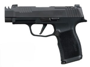 Sig Sauer P365 XL Comp .380 ACP Handgun with Night Sights