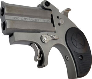 Bond Arms Stubby .22LR Derringer Pistol - 2.2" Stainless