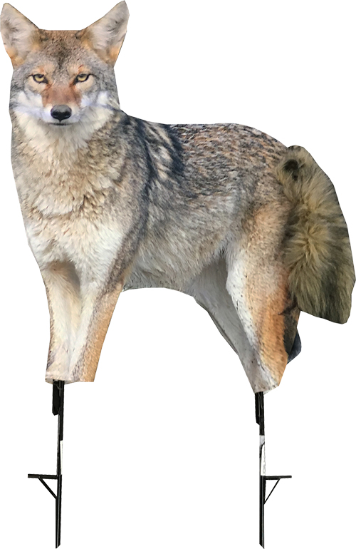 Montana Decoy Coyote Song Dog Hunting Decoy