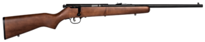 Savage Mark I-GY Youth .22 LR Bolt Action Rifle