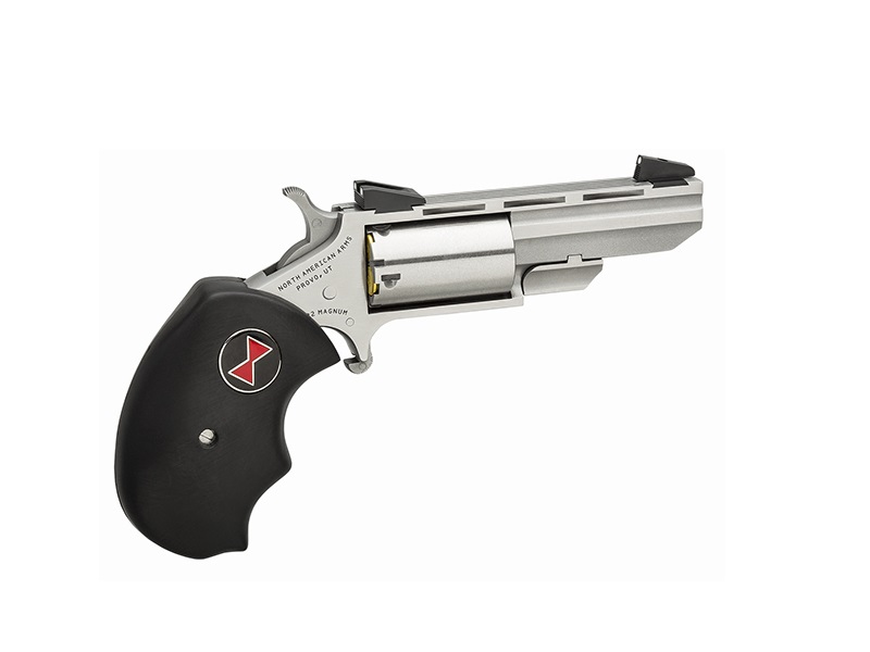 NAA Black Widow .22 Magnum Mini-Revolver, Stainless Steel