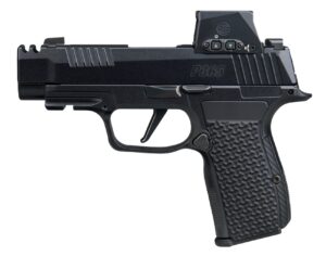 SIG SAUER P365 AXG Luxe .380 ACP Pistol with ROMX
