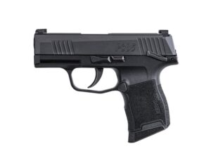 Sig Sauer P365 Micro-Compact .380 ACP Pistol 10+1