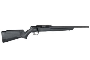 Savage Arms B22 FV-SR Bolt Action Rifle .22 LR 10-Round