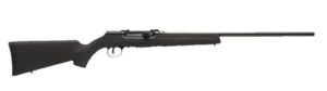 Savage A22 .22 Magnum Semi-Auto Rifle - 10 Rd