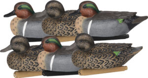 ZINK Green Wing Teal Floater Decoys 6 Pack