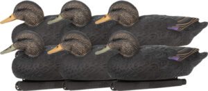 ZINK Black Duck Floater Decoys - 6 Pack