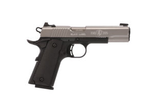 Browning 1911-380 Stainless .380 ACP Pistol