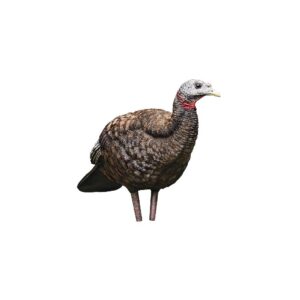 Avian-X LCD Breeder Hen Turkey Decoy