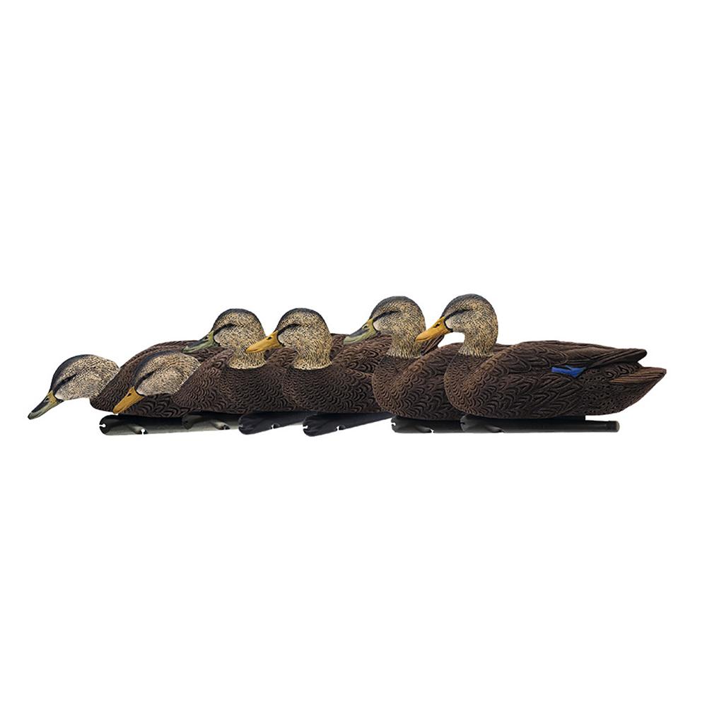 Avian-X Topflight Black Ducks Floating Decoys 6-Pack