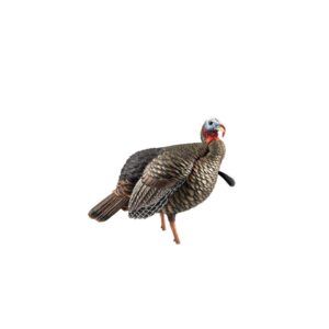 Avian-X HDR Jake Turkey Decoy