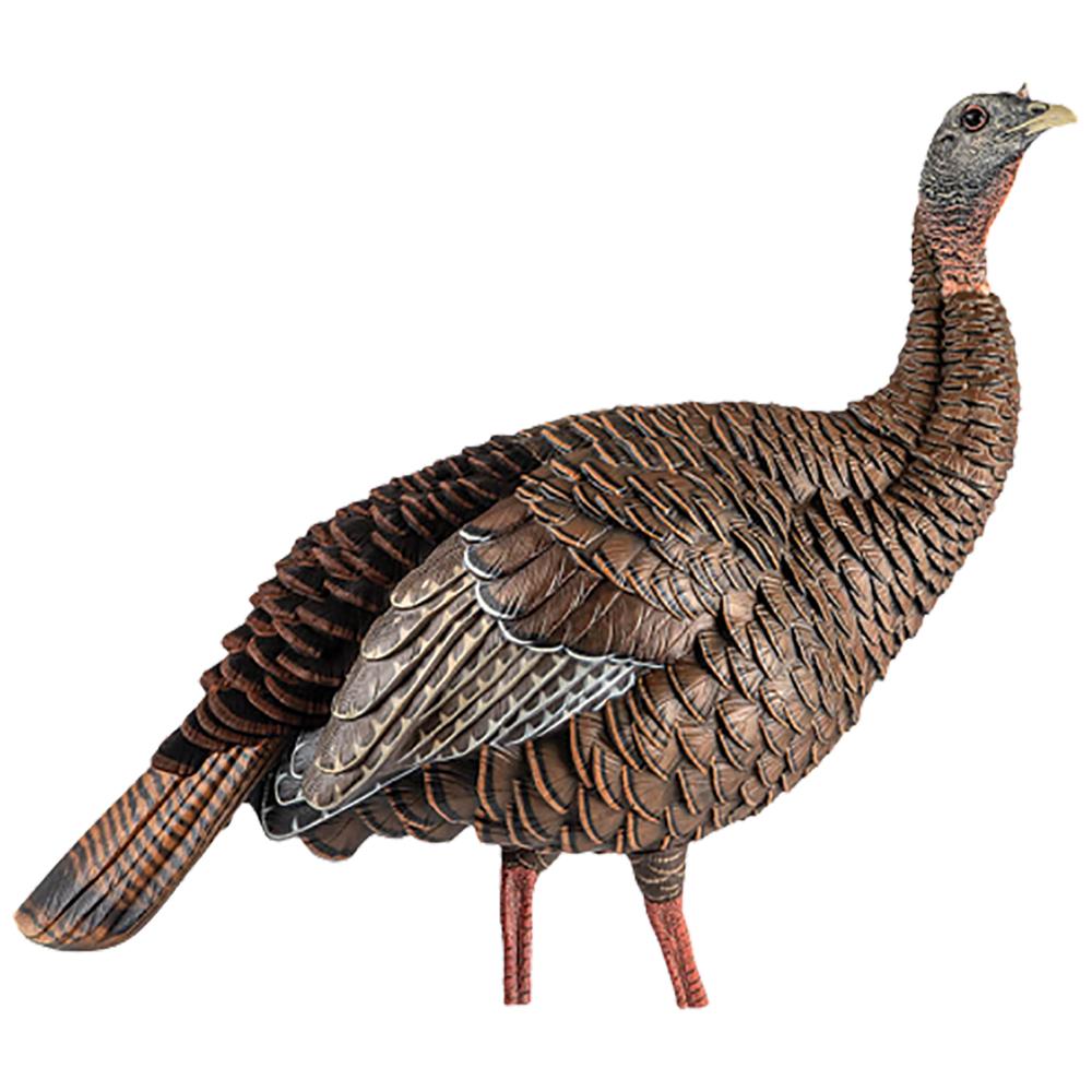 Avian-X HDR Hen Turkey Decoy with Interchangeable Heads