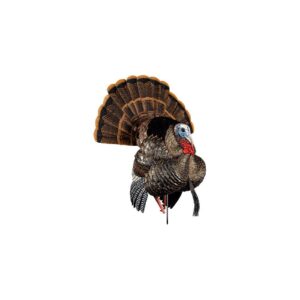 Avian-X HDR Strutter Turkey Decoy